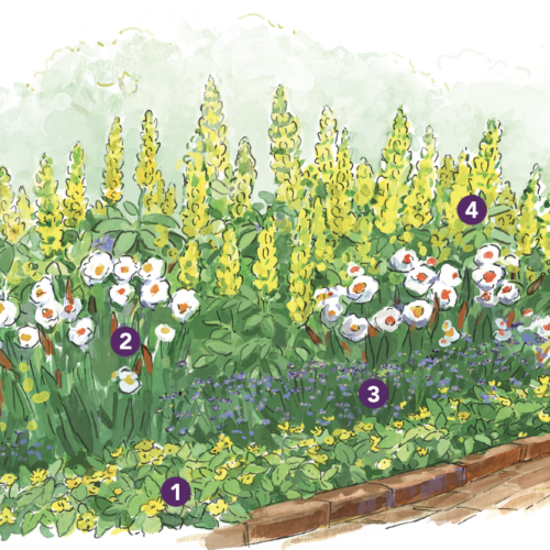 Expert Spring Garden Layout for the Mid-Atlantic - Fine Gardening